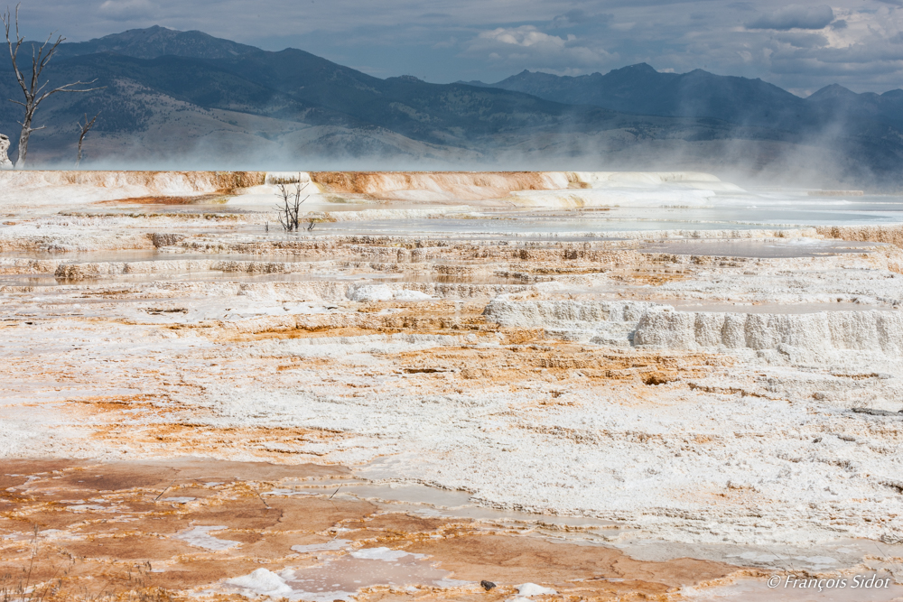 Sources d’eau chaude  - Mammoth Hot Springs