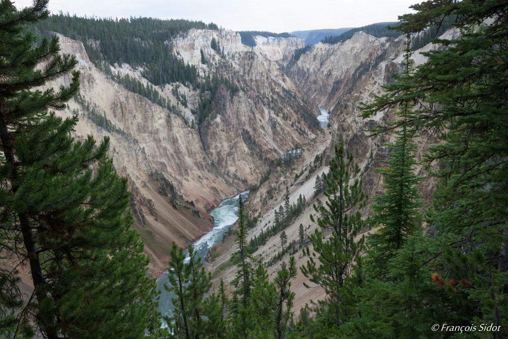 Rivière Yellowstone (P.N. du Yellowstone)