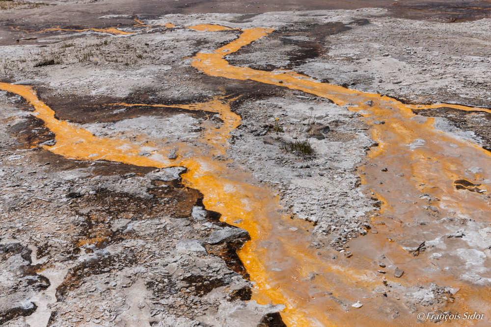 Red water in Yellowstone