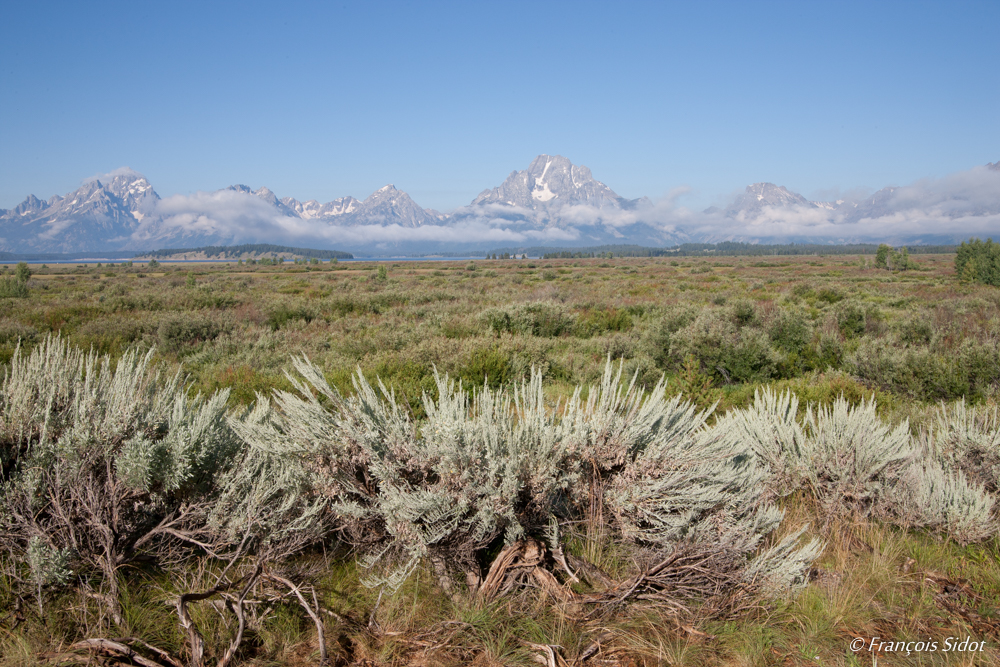 Grand Teton Mountain 