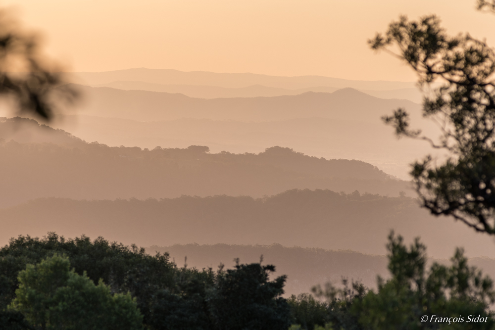 Paysage au crépuscule - Queensland