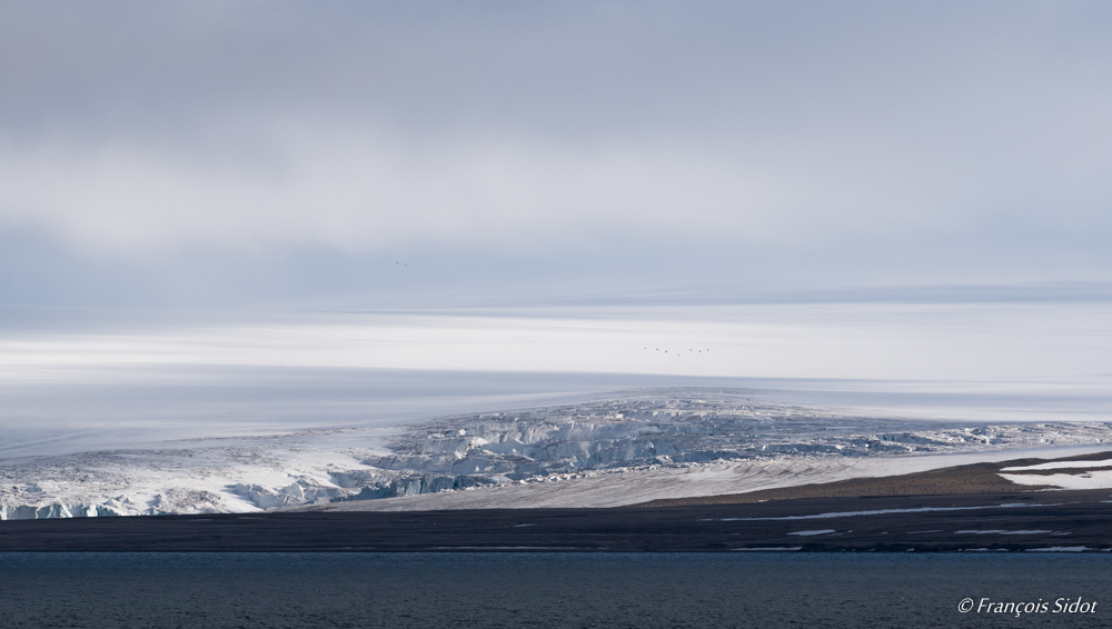 Glacier (Svalbard)