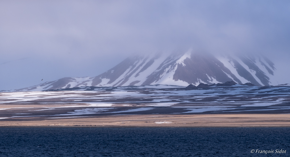 Paysage du Svalbard