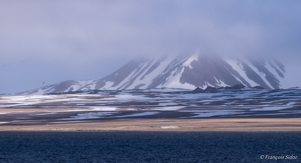 Svalbard landscape