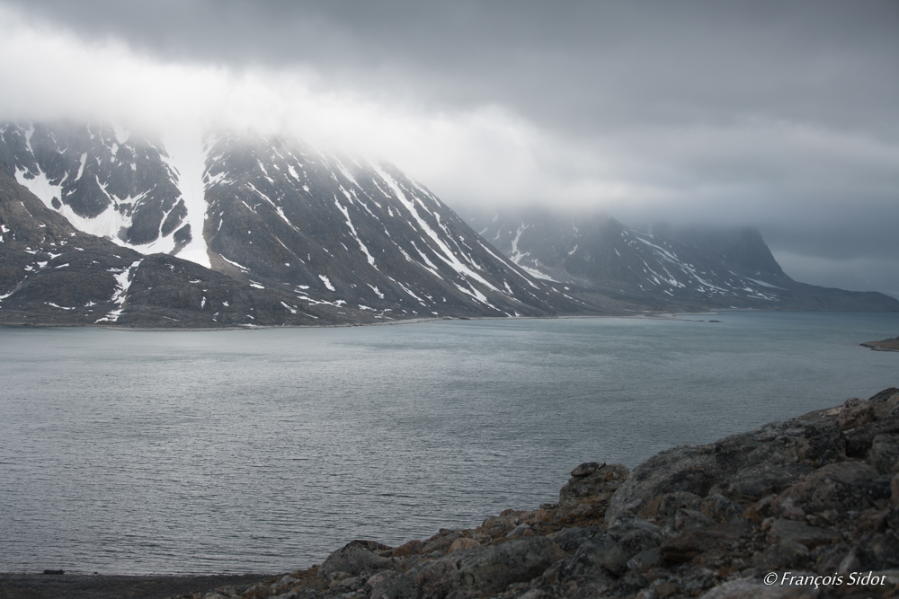 Fjord (Svalbard)